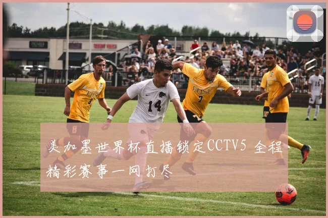 美加墨世界杯直播锁定CCTV5 全程精彩赛事一网打尽