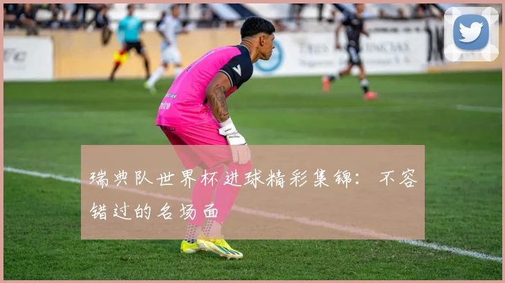 瑞典队世界杯进球精彩集锦:不容错过的名场面